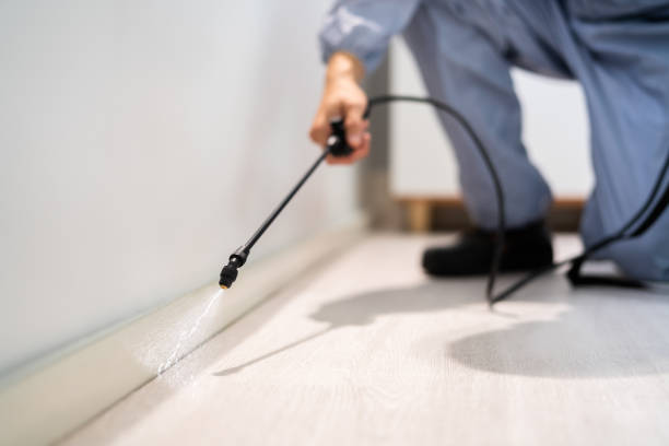 Bed Bug Pre-Treatment Preparation Assessment in Shelley