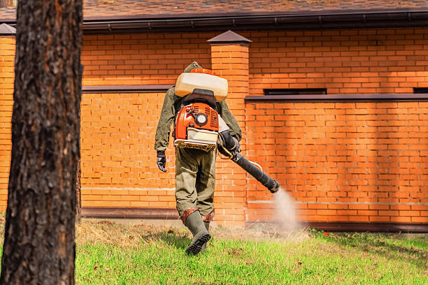 Bed Bug Clearance Verification and Documentation in Shelley